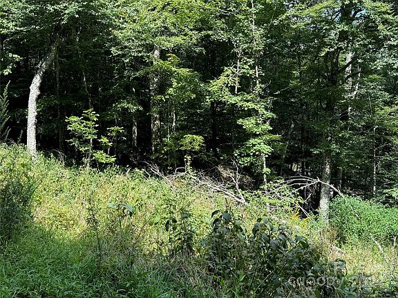 5th image of 227 Birch Springs Ln