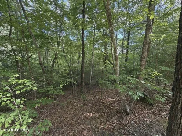 0 Fox Hunters Ln, Sevierville, TN 37876