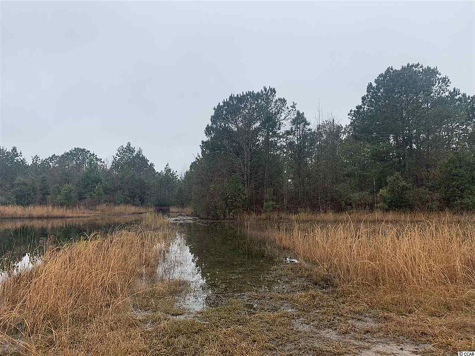 2nd image of 28 AC McClam Rd.