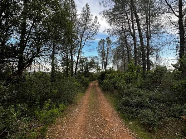 0 Donkey Mine Rd, Oak Run, CA 96069