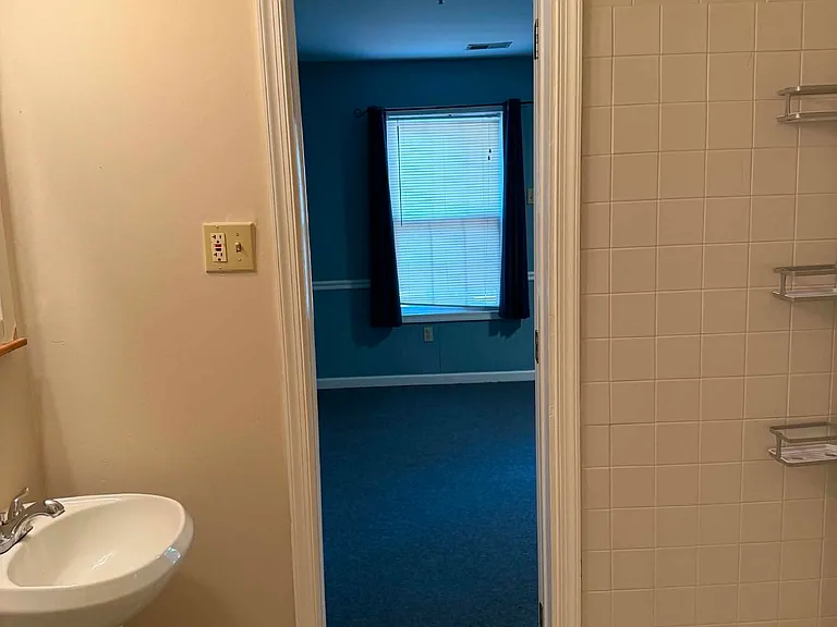 Downstairs Bathroom/Shower