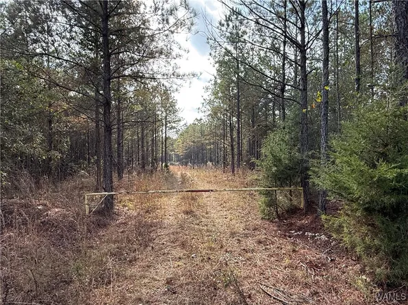 0 Old Highway 18, Vernon, AL 35592