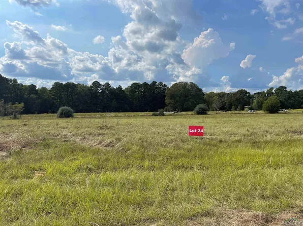 24 County Road 2204d & Dm #1797, Tatum, TX 75691