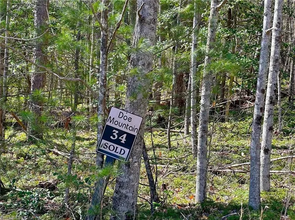 LOT 34 Turkey Trl Lot 34, Mc Grady, NC 28649