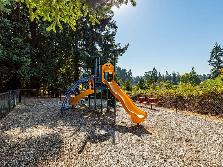 Scout — Photo 36