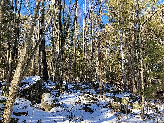 5th image of Mountain Rd
