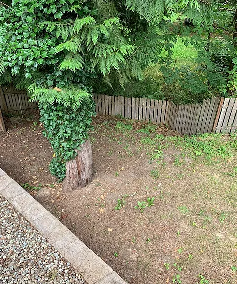 18525 Woodside Dr SE — Photo 20