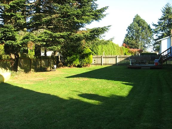 Fenced back yard