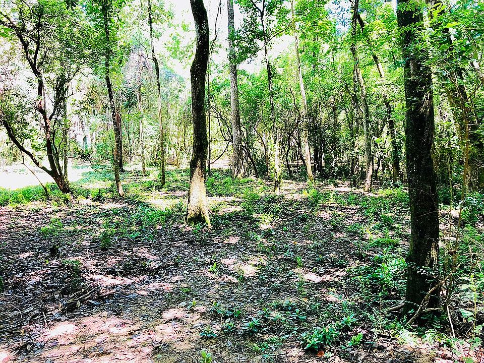 1st image of Montrose Woods Dr