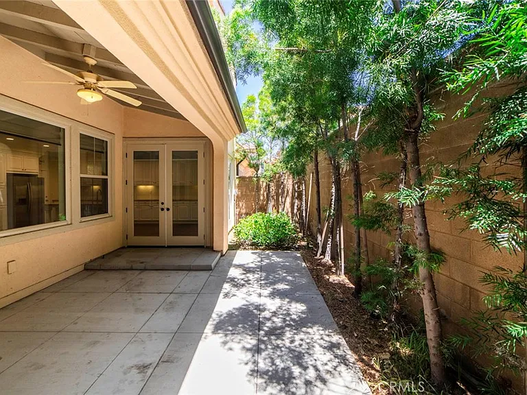 33 Bromeliad — Photo 2