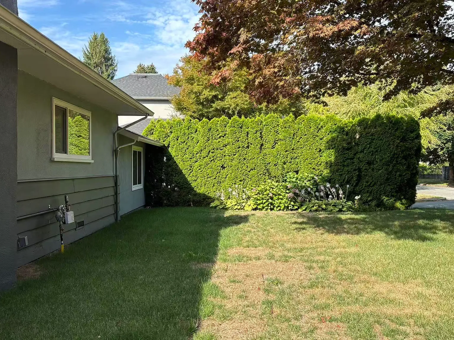 3 bed, 1780 sqft, $6,000 — Photo 4