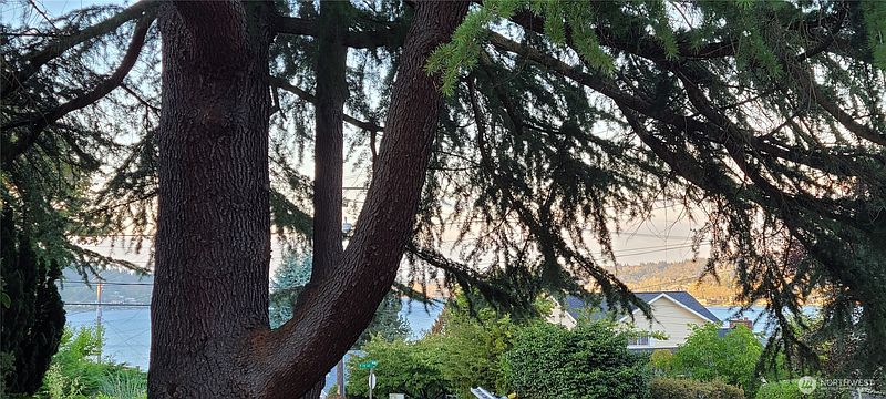 5th image of 11237 84th Avenue S