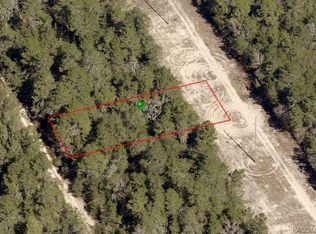 312 Westhill Ave, Inverness, FL 34452