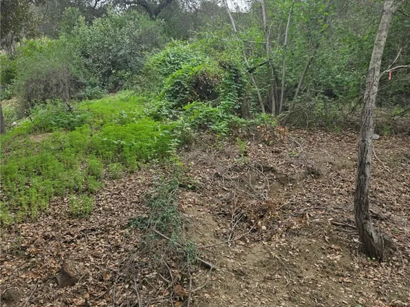 16872 Sumach Ln #1, Chino Hills, CA 91709