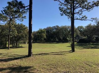 1190 1st St, Orange City, FL 32763
