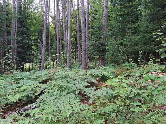 2nd image of 1318 Old North Rd