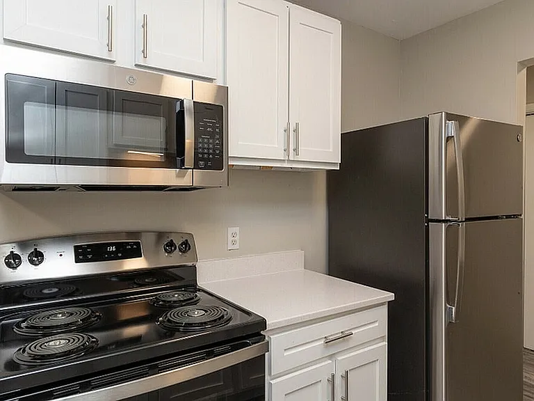 Stainless Steel Appliances