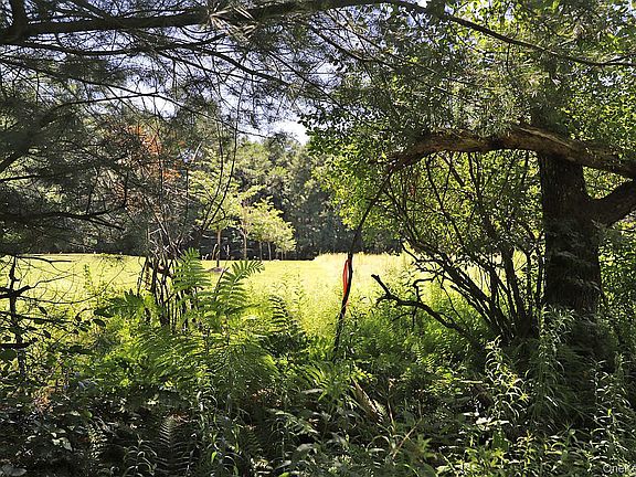 2nd image of Lot 4A Hurd Road