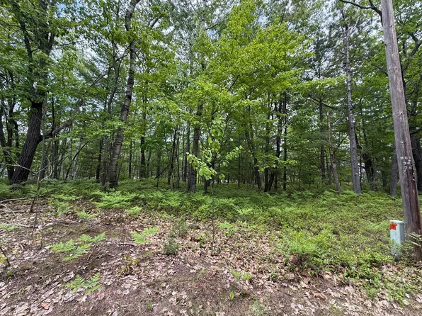 LOT 12 Joy Ln, Millersburg, MI 49759