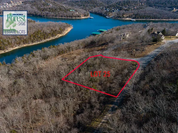 Lot 25 Trail New Lane, Branson West, MO 65737
