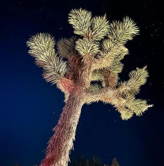 Adobe Dr — Photo 28