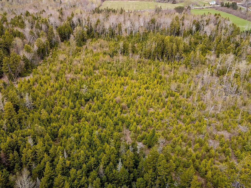 2nd image of Highway 215