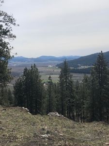 1624 Palmer Loop, Chewelah, WA, 99109