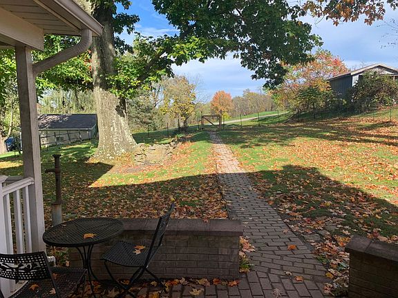 Back yard from patio