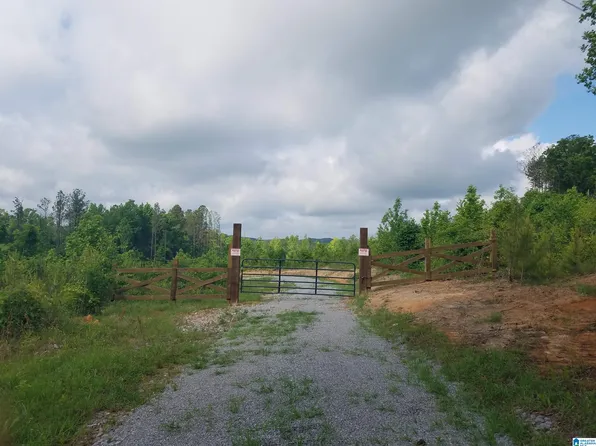 County Road 10 #0, Brierfield, AL 35035