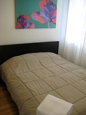 Rented by Link Real Estate NYC | media 40