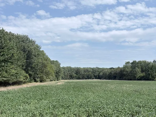 0 Palms Rd, Columbus, MI 48063