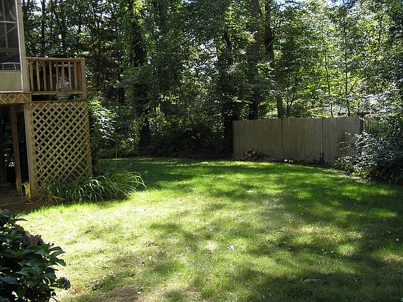 back yard