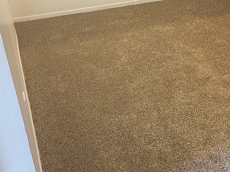 5614 Clarke Address Dr — Photo 14