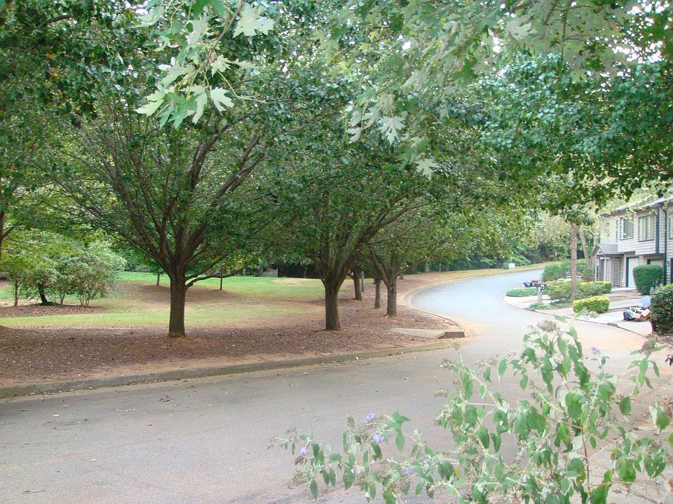 View standing in driveway