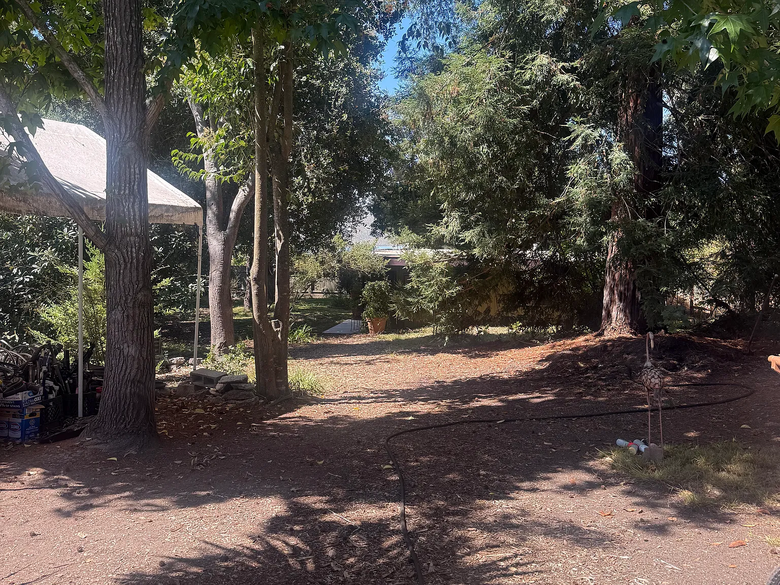 3 bed, 1150 sqft, $2,600 — Photo 2