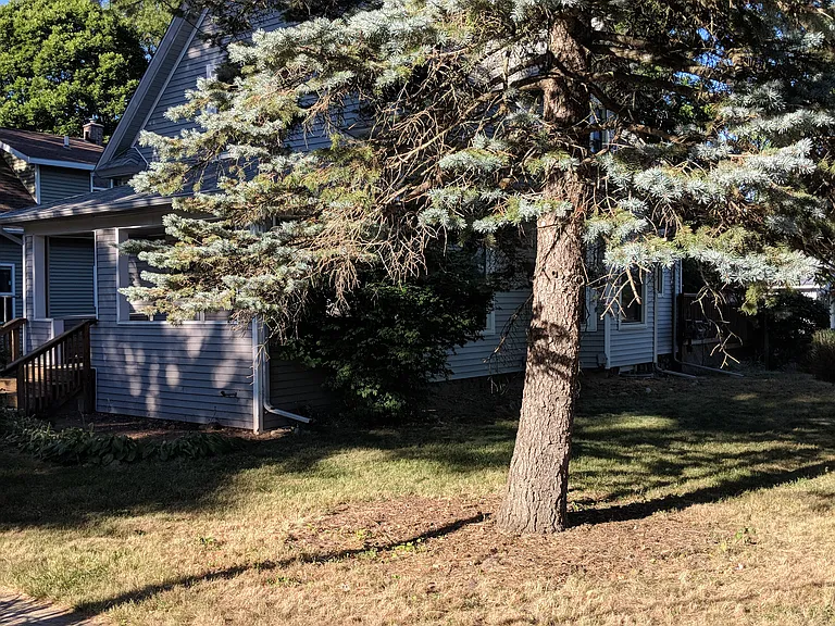 front yard