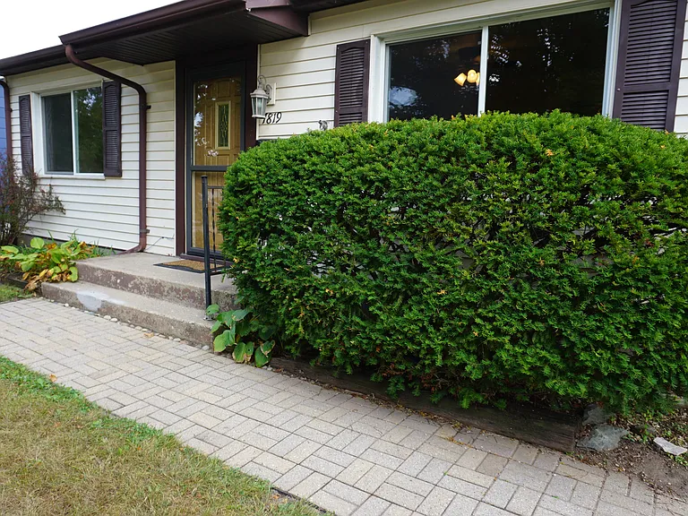 7819 Orion St — Photo 3