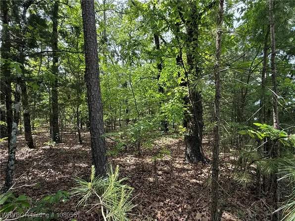Tbd Spur Southside Way, Mansfield, AR 72944