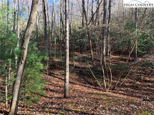 TBD (Lot 1) Dugger Firetower Road, Lenoir, NC 28645