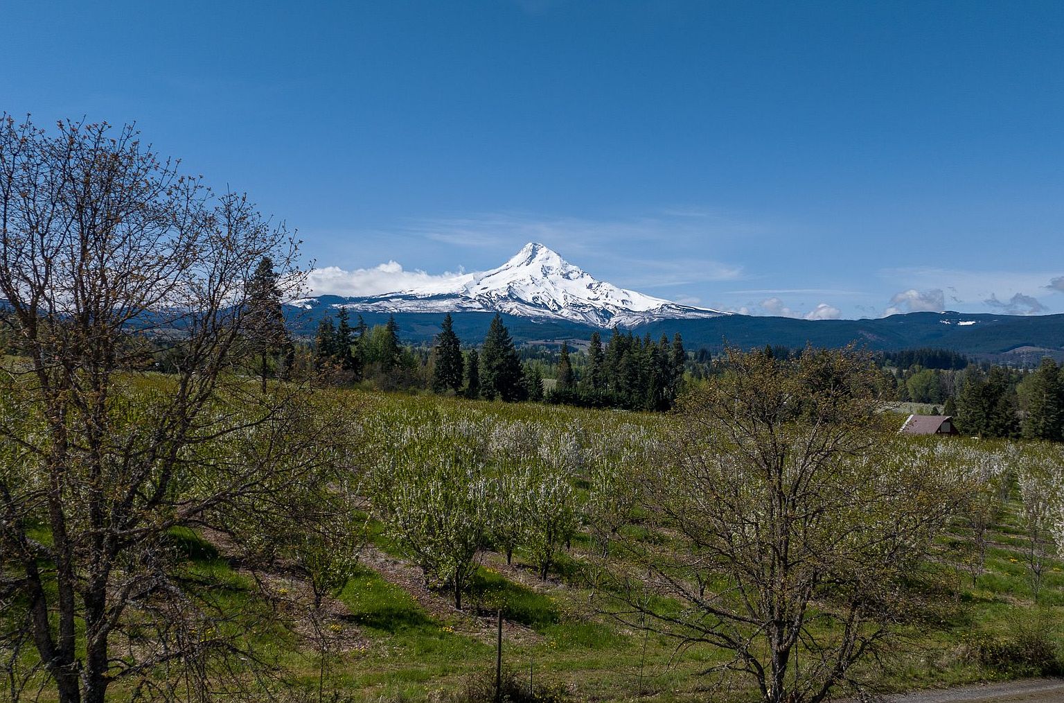 4116 Cunningham Dr, Mount Hood Parkdale, OR 97041 | MLS #22026319 | Zillow