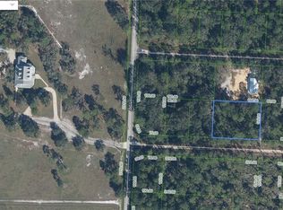 3253 Michele Ave, Lake Placid, FL 33852