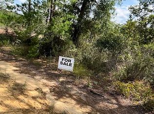 1 Birch Ave, Interlachen, FL 32148