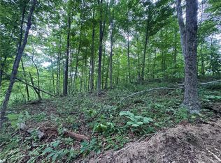 10 Walker Hill Rd #10.11, Stockport, OH 43787