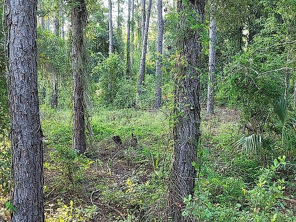 5th image of 0 County Road 44