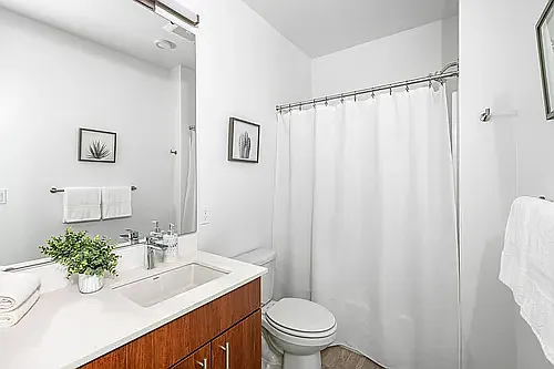 Flow Eastlake Apartments — Photo 30