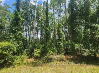 130 Helen Ave, Georgetown, FL 32139