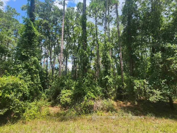 130 Helen Ave, Georgetown, FL 32139
