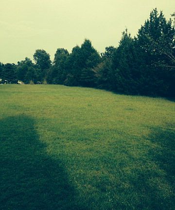 5th image of 116 Lakeview Dr