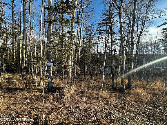 4th image of L6 B Spruce Hvn #2
