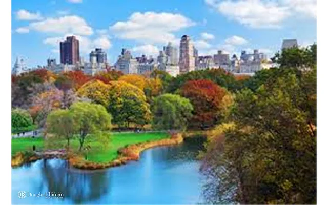Rented by Douglas Elliman | media 15